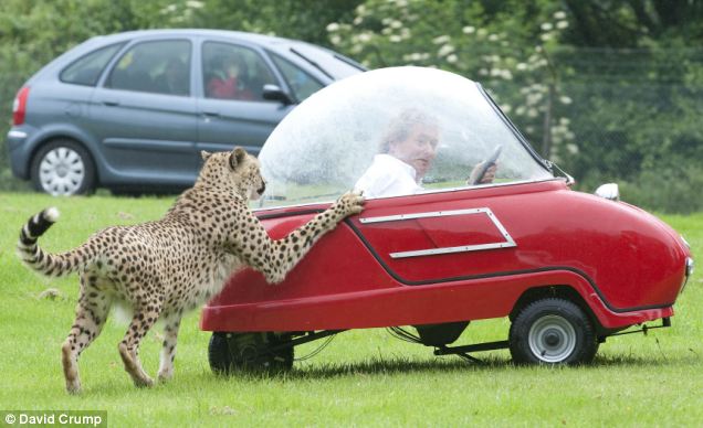 Ӣ���οͼ����ݳ����Ա�Ϯ��