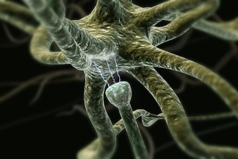 ��̾��ҽѧ3D������ͼ ��������ͼ