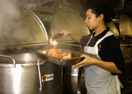 ����������ĸ�ϵĳ��� ������ʳ��ô����