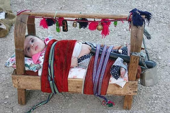 �����緹�Ŀɰ�С���� ��Ц����