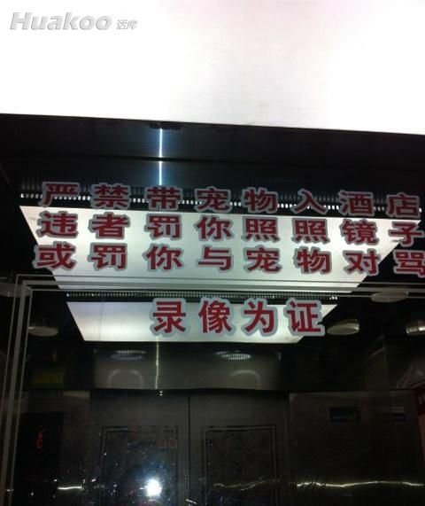 ÿ�Ŷ������� ���Ⱑ����ЦͼƬ