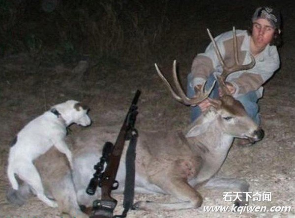 �����İ��ĳ��ͳ��� ǿ����������ͼ�̵�(��ͼ)