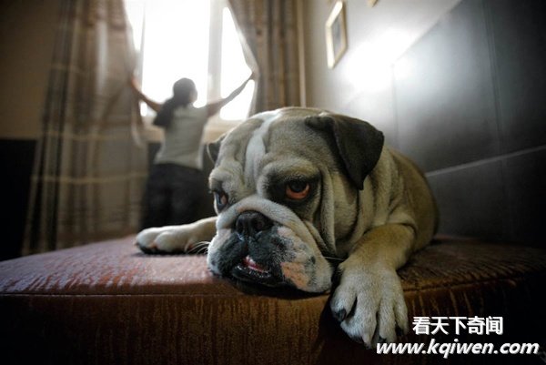 ʵ�Ķ�����Ȥ˲�䣬�ȷ���