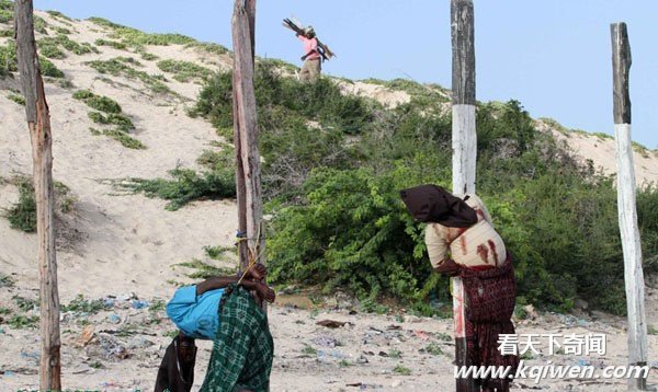 �����﹫��ǹ��ɱ��ʿ�����ֳ�ͼƬ(��ͼ)