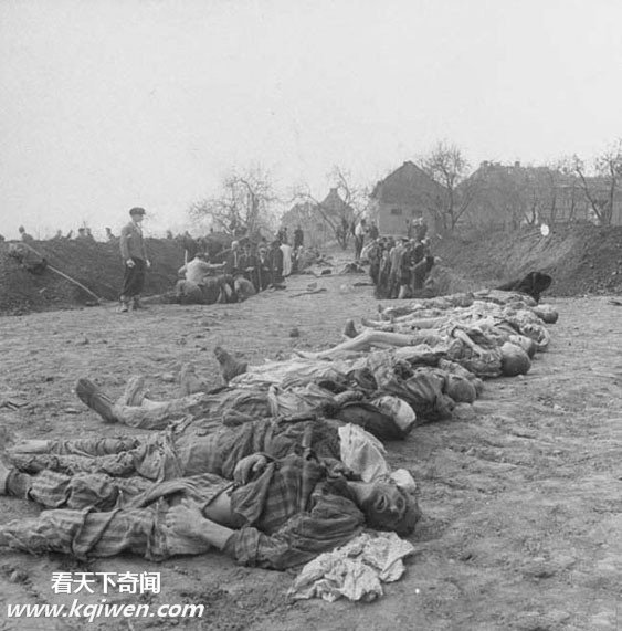 �����ɴ⼯��Ӫ��״��������ź�����ʬ��(��ͼ)